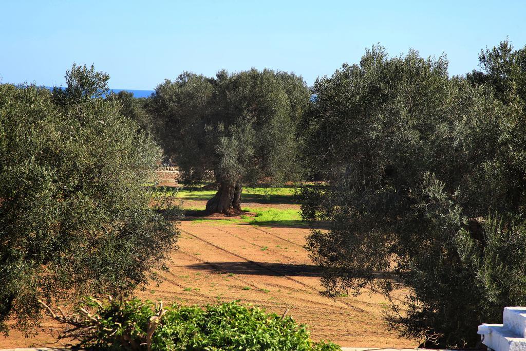 Masseria Pittore 사벨레트리 외부 사진